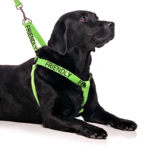 FDC -L/XL Strap Harness