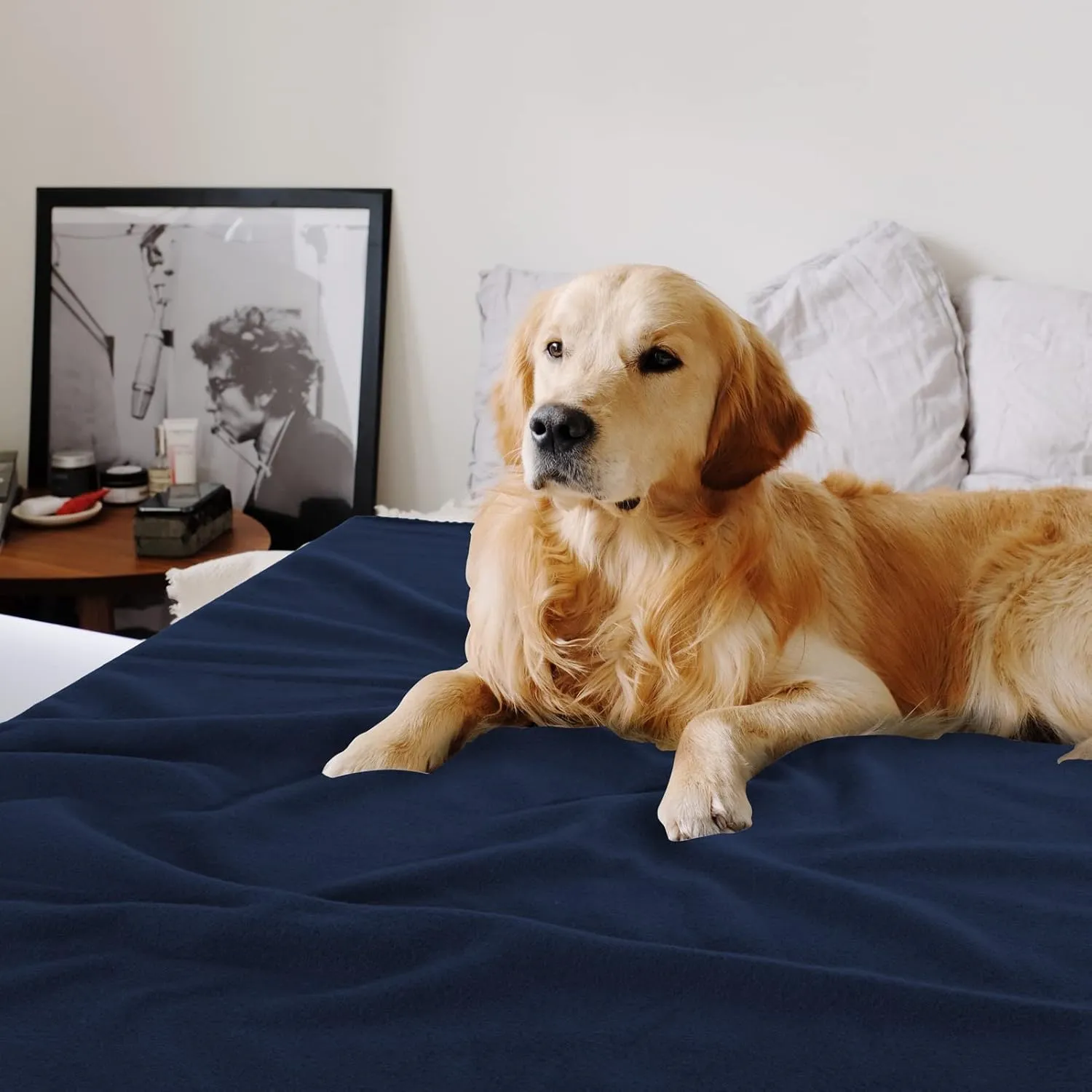 Fleece Throw Blankets Solid Lightweight Warm Soft Cozy Pet-Friendly for Home Bed Sofa Couch Dorm Office Wedding Gifts Travel Airplane for Seasons (Assorted#1 Pack of 6-50x60 Inches)