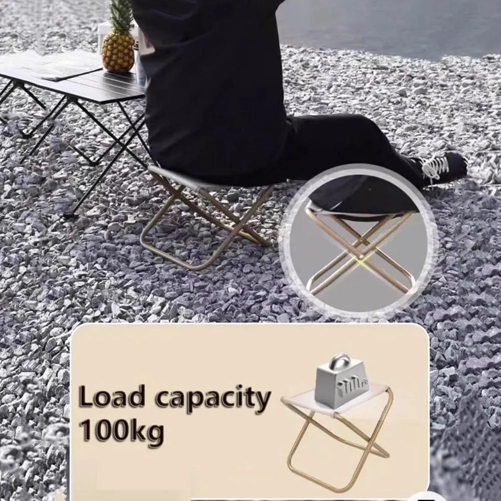 Foldable Camping Stool with Carry Bag, Portable Collapsible Chair Stool Outdoor, Lightweight Compact Stool Seat for Fishing Hiking Gardening BBQ(Black,Small)
