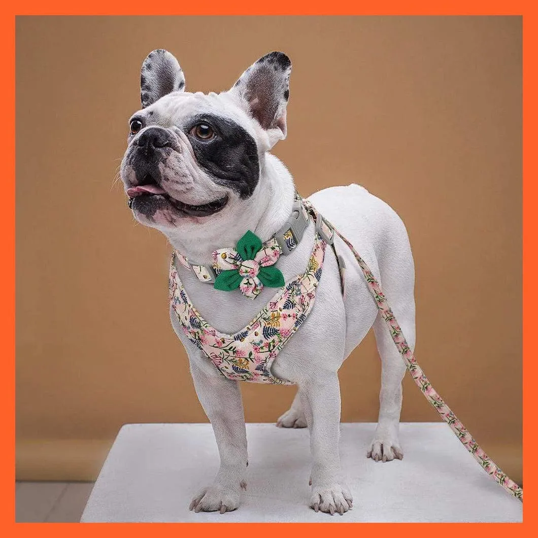 French Bulldog Harness Leash And Collar Set | Printed Dog Harness Vest Leash Collar Set