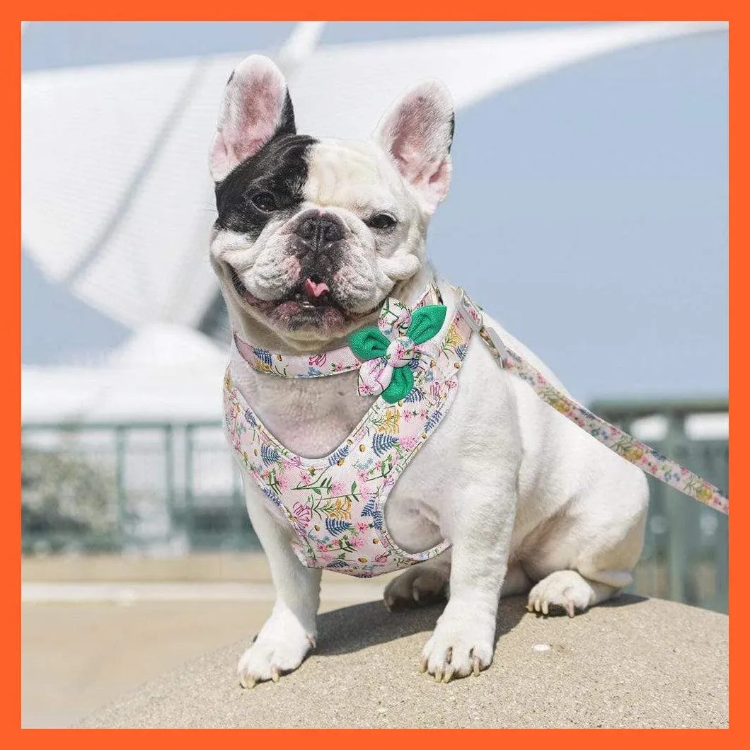 French Bulldog Harness Leash And Collar Set | Printed Dog Harness Vest Leash Collar Set
