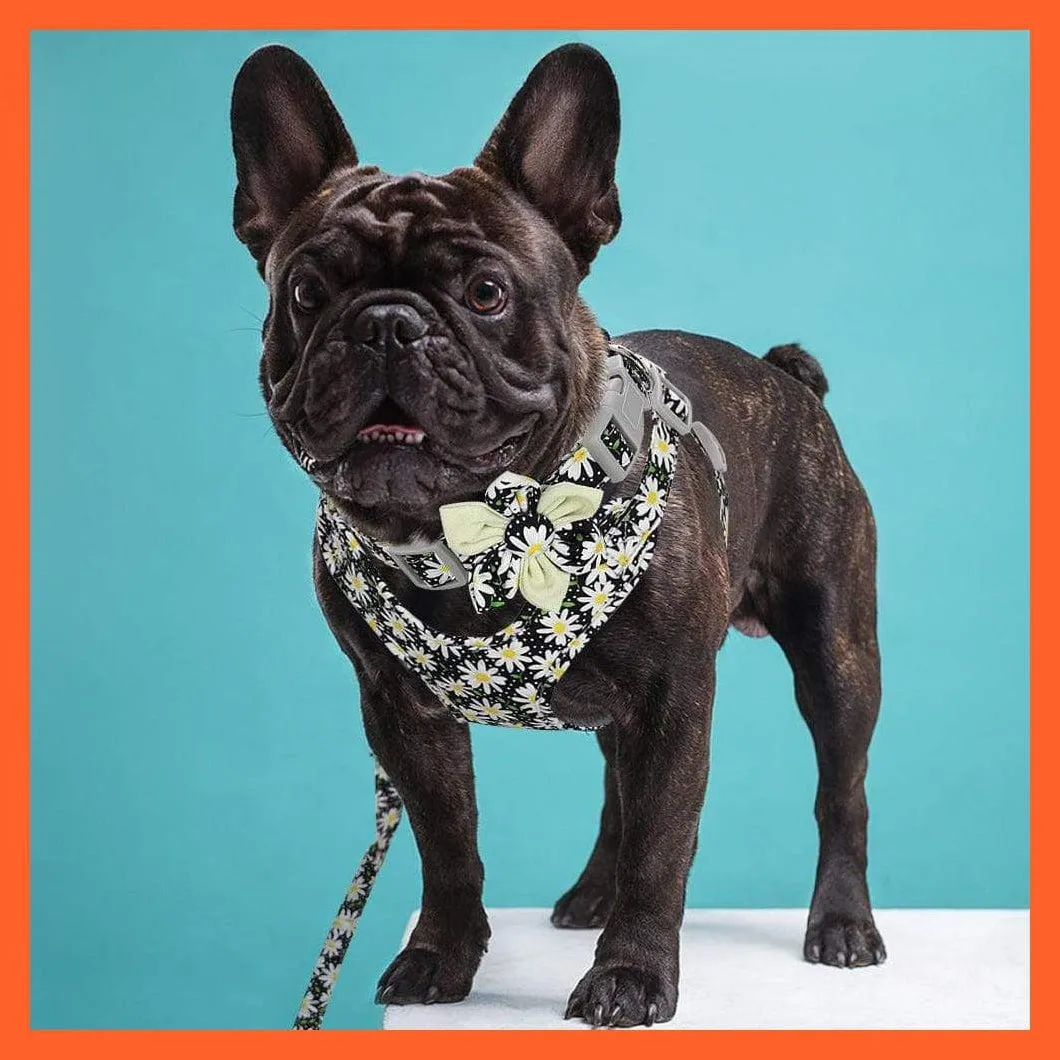 French Bulldog Harness Leash And Collar Set | Printed Dog Harness Vest Leash Collar Set
