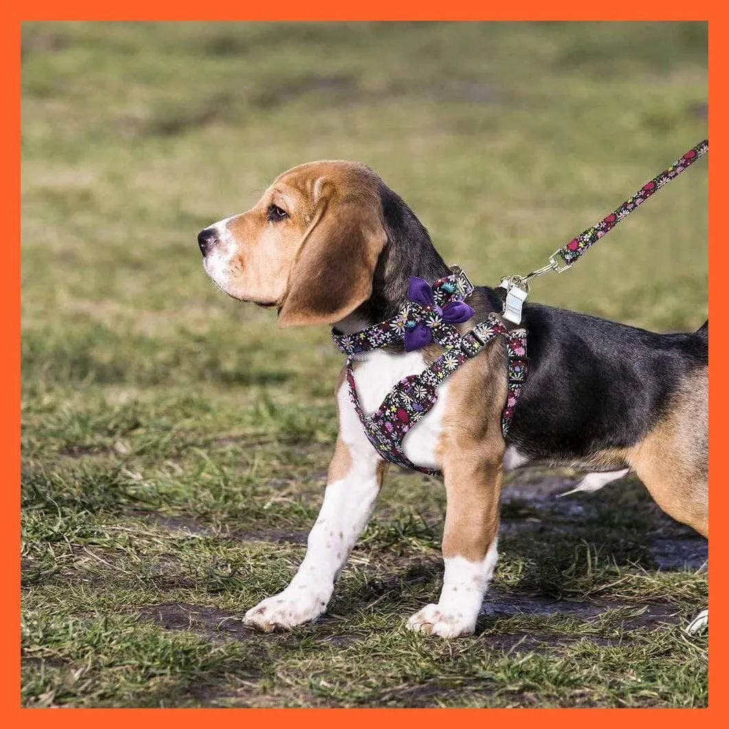 French Bulldog Harness Leash And Collar Set | Printed Dog Harness Vest Leash Collar Set