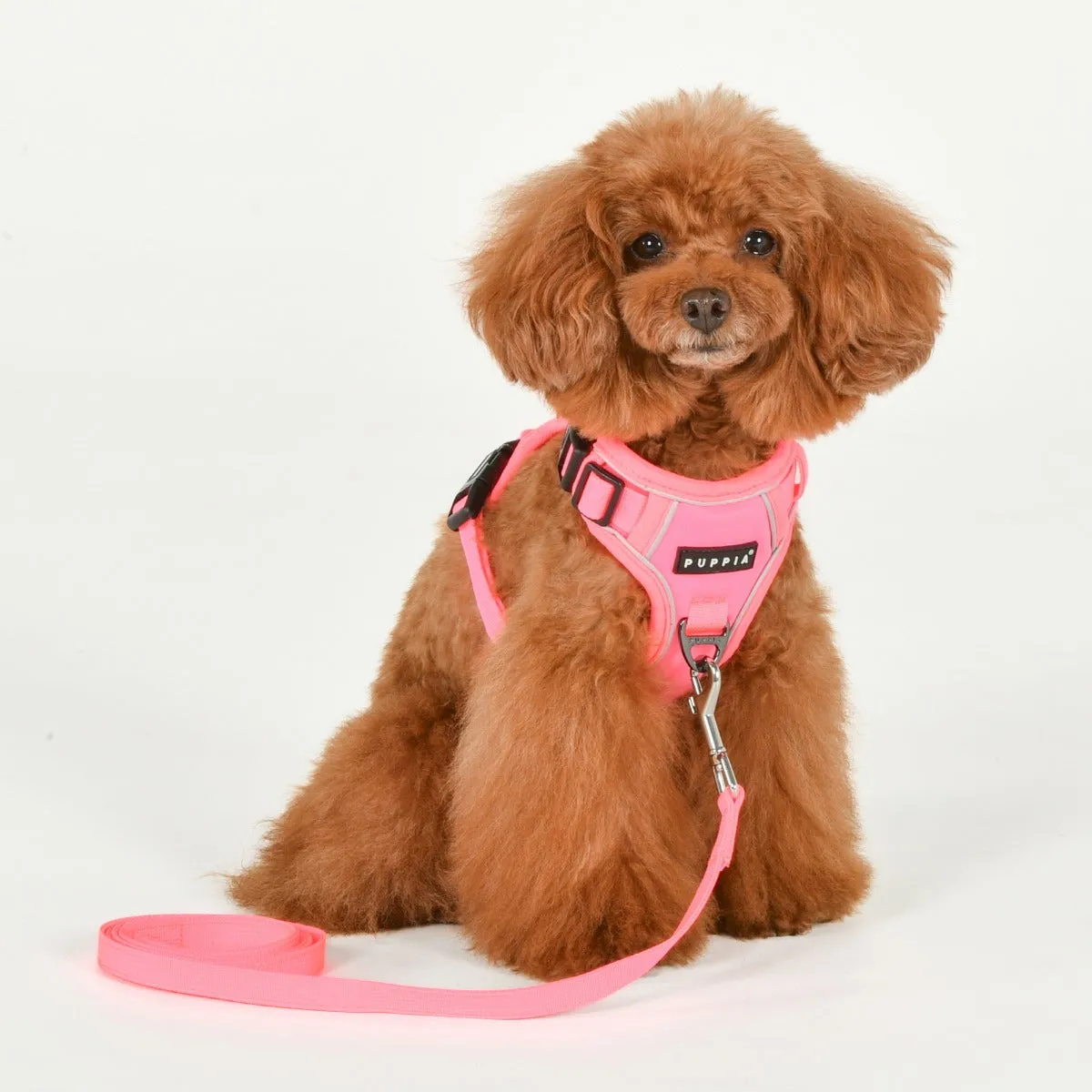 Front-Hook No-Pull Harness | Neon