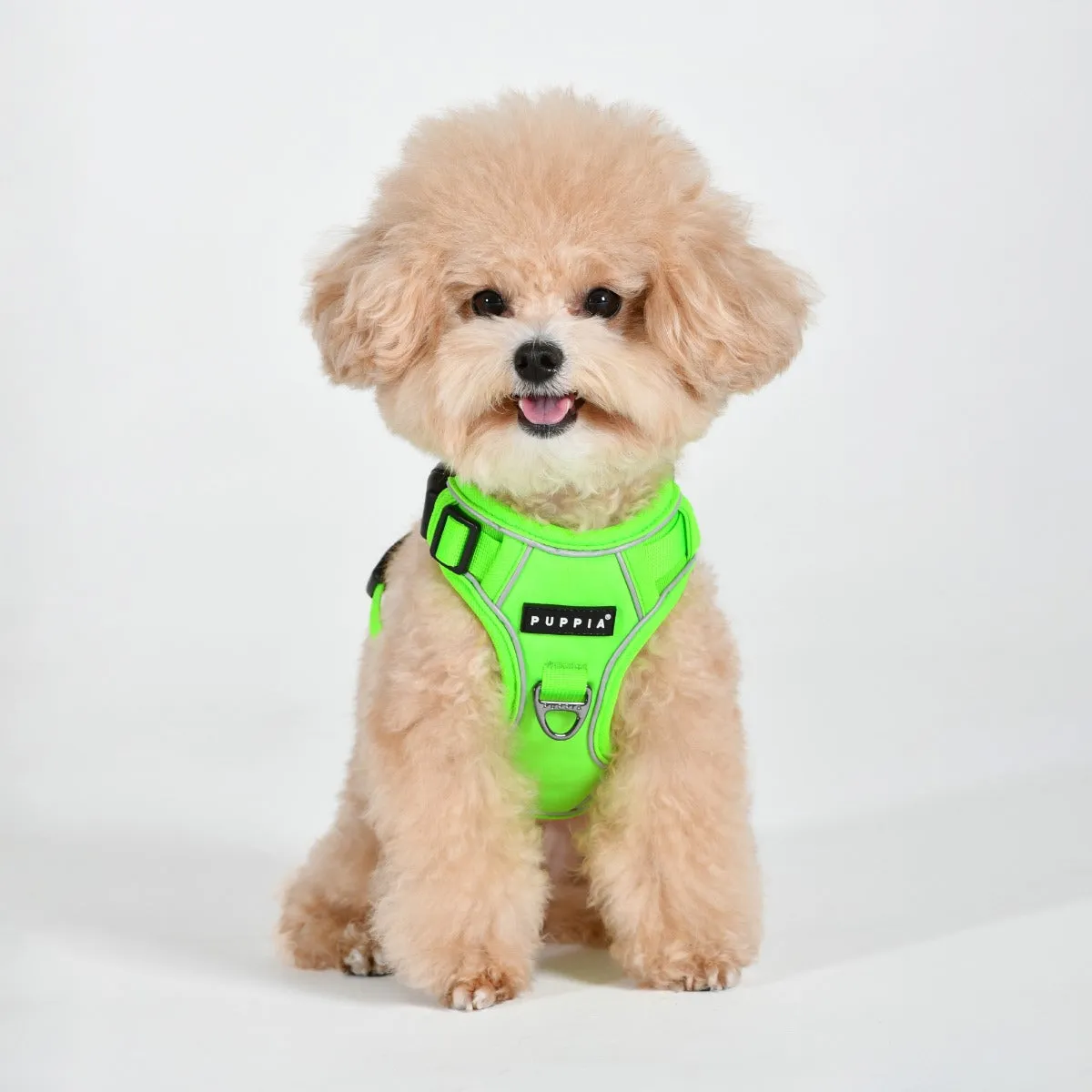 Front-Hook No-Pull Harness | Neon