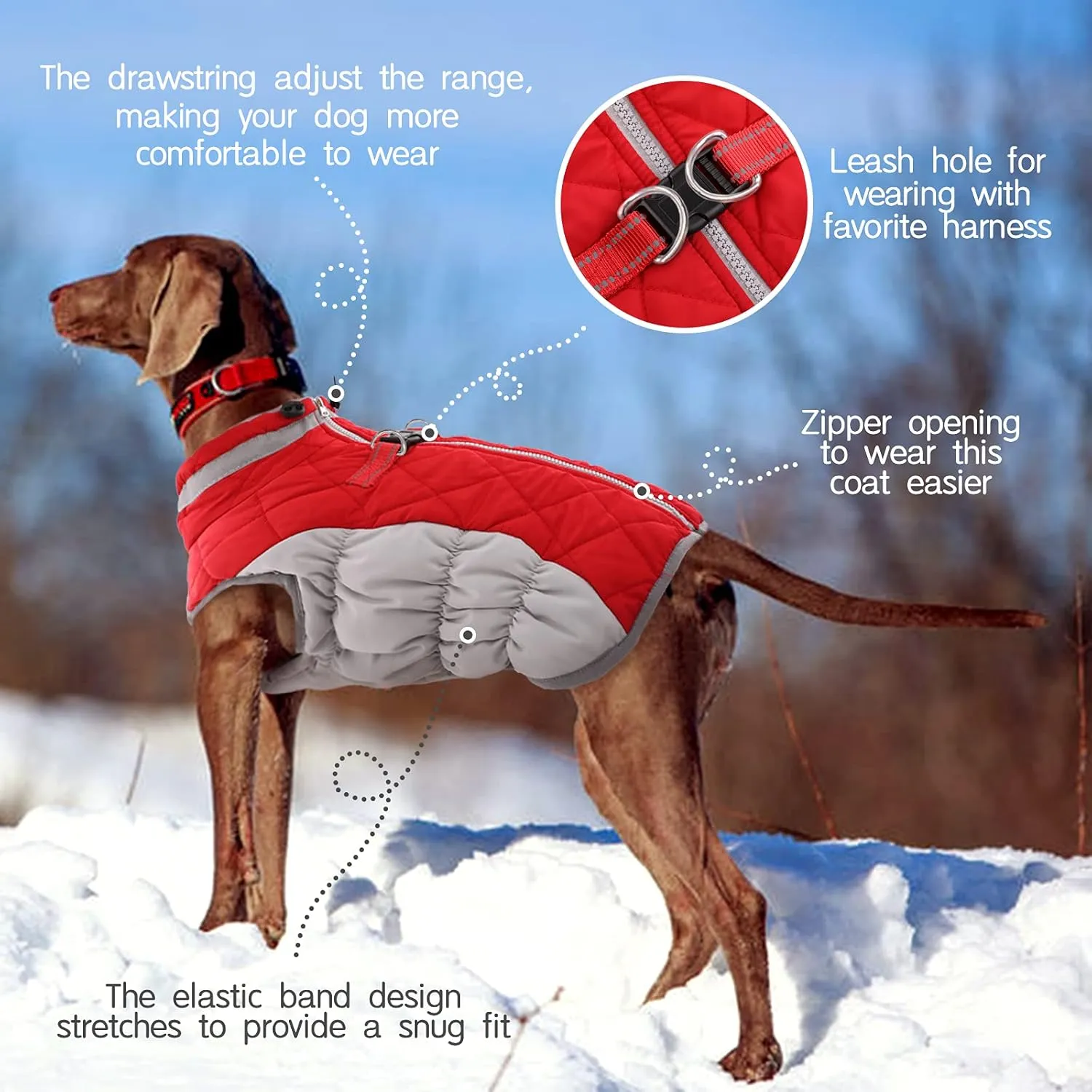 FUAMEY Dog Coat - Warm Winter Jacket with Padded Fleece, Reflective, Waterproof & Windproof, Built-in Harness, Red, Medium