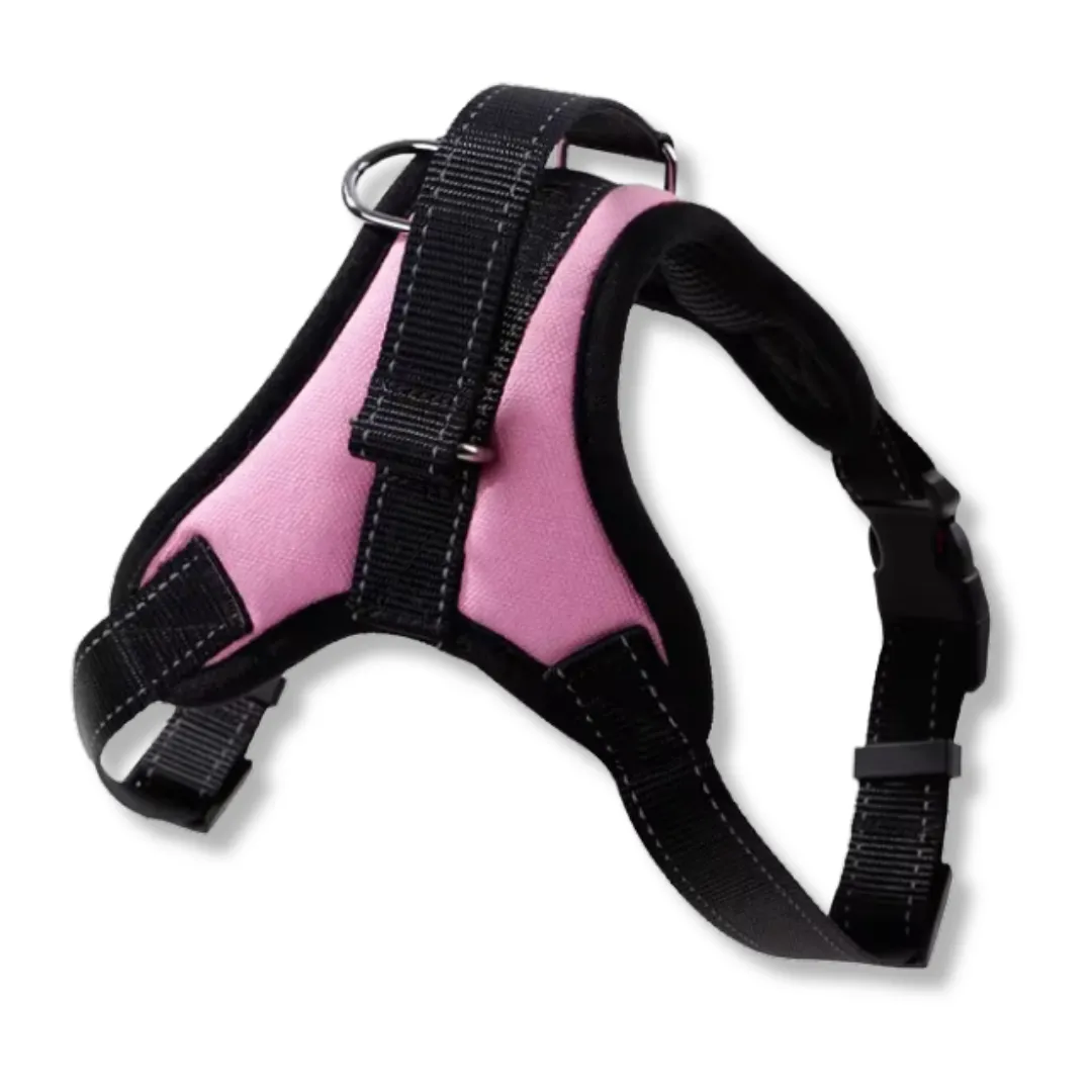 Harness Collar with Handle