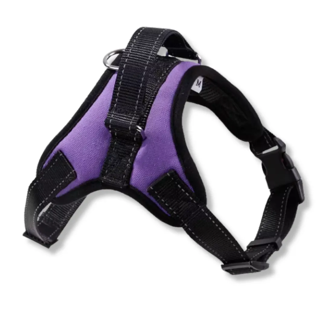 Harness Collar with Handle