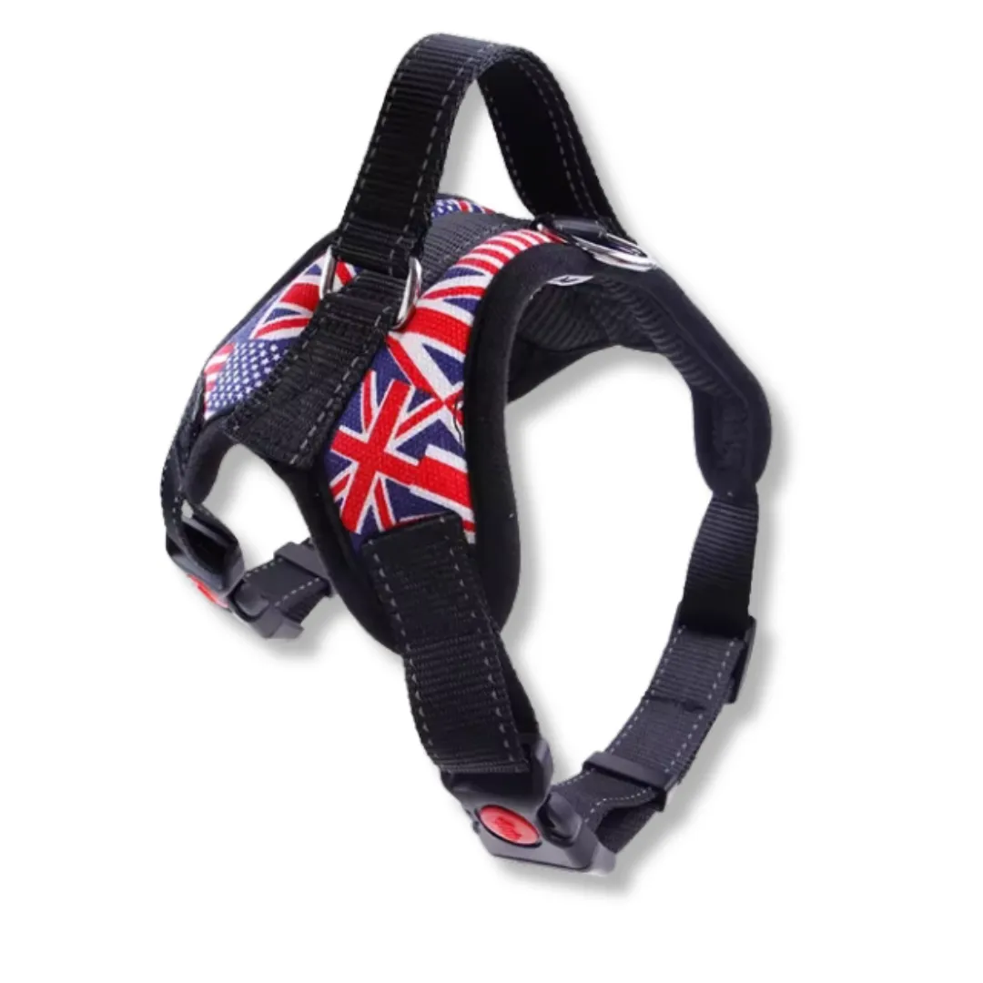 Harness Collar with Handle