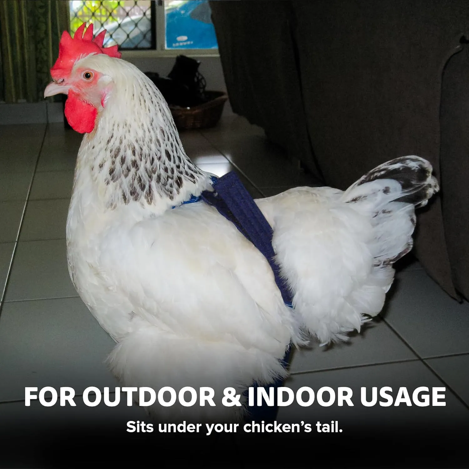 Hen Holster Bikini Diaper, Bird Diaper & Harness for Hens, Roosters, Ducks, Geese - with Removable Vinyl Liner, Adjustable Fit for Outdoor Adventures & Indoor Use - Easy to wear - S/M, Purple