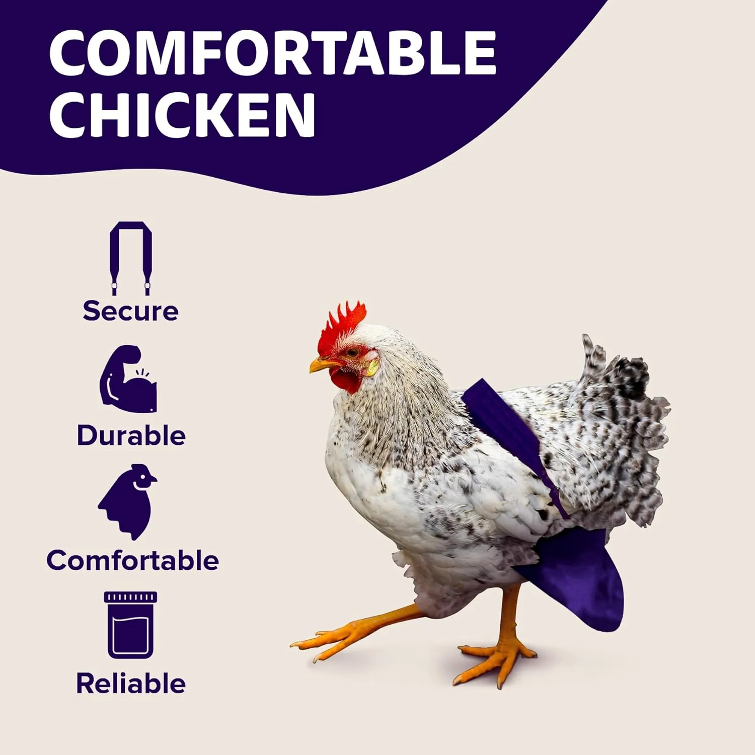 Hen Holster Bikini Diaper, Bird Diaper & Harness for Hens, Roosters, Ducks, Geese - with Removable Vinyl Liner, Adjustable Fit for Outdoor Adventures & Indoor Use - Easy to wear - S/M, Purple