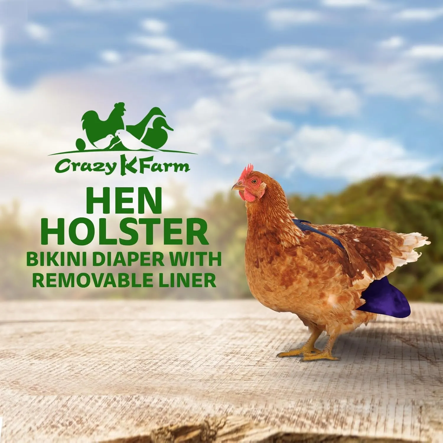 Hen Holster Bikini Diaper, Bird Diaper & Harness for Hens, Roosters, Ducks, Geese - with Removable Vinyl Liner, Adjustable Fit for Outdoor Adventures & Indoor Use - Easy to wear - S/M, Purple