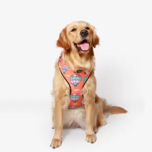 Hot Air Balloon Vest Harness