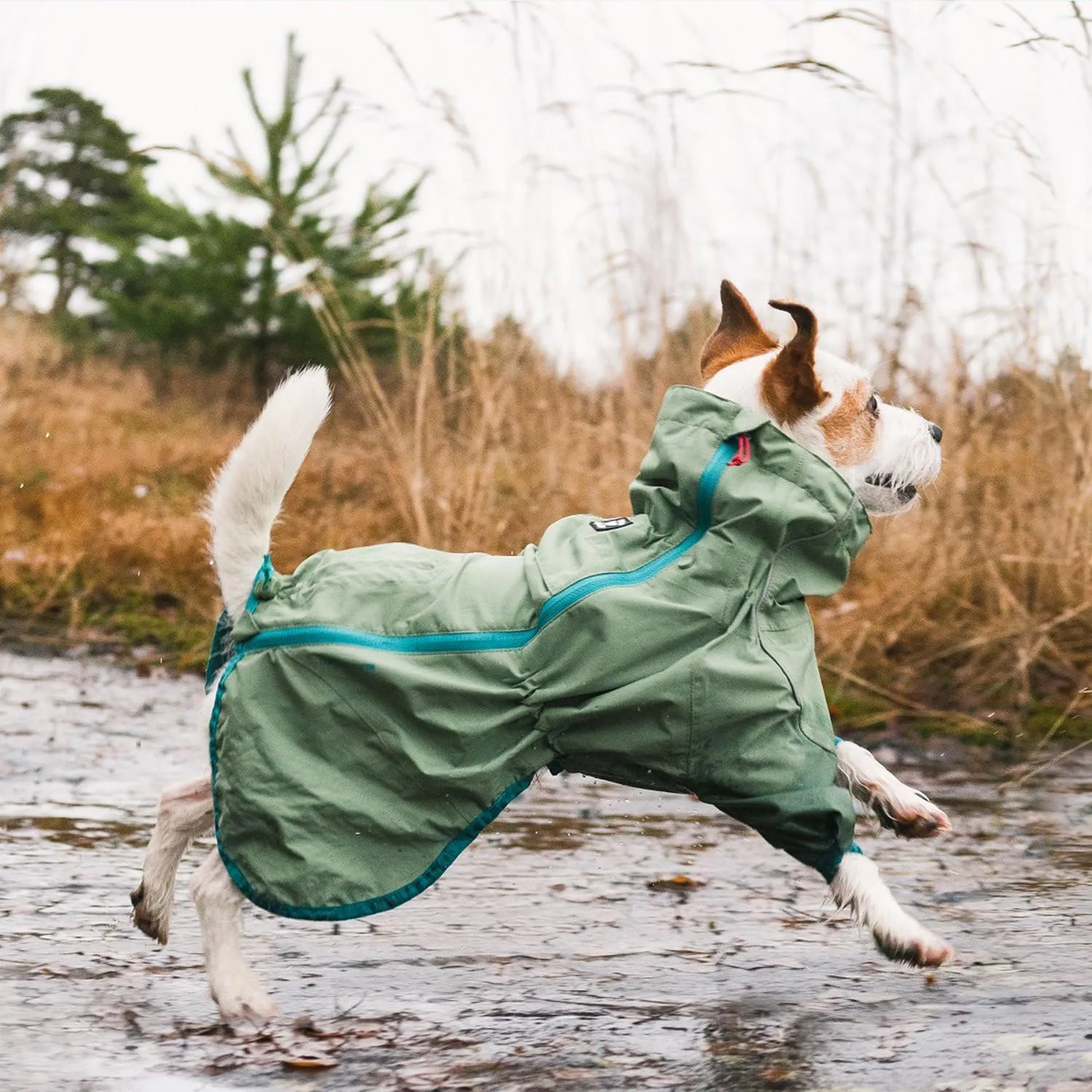 Hurtta Rain Blocker ECO, Dog Raincoat, Hedge, 20 in