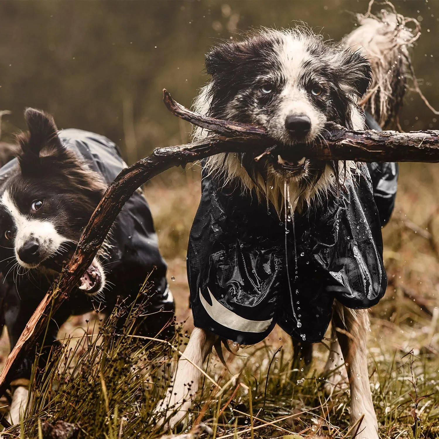 Hurtta Torrent Coat Dog Raincoat, Raven, 28 in