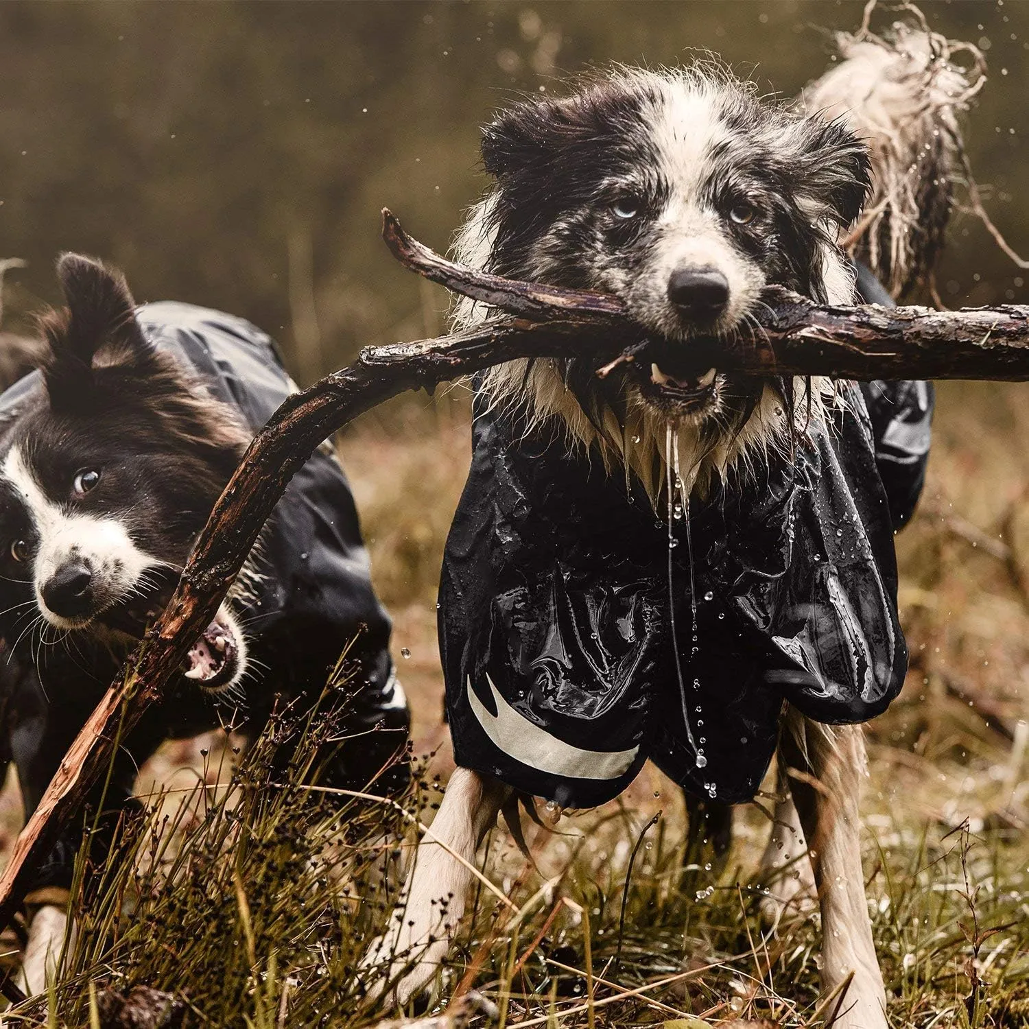 Hurtta Torrent Coat Dog Raincoat, Raven, 28 in