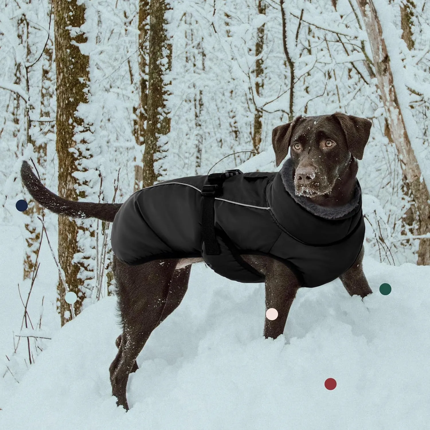 IECOii Extra Warm Dog Coat - Reflective, Adjustable Winter Jacket with Buckle & Turtleneck for Small to Extra Large Dogs