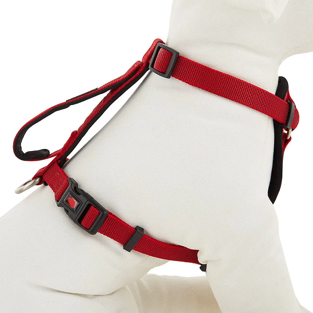 KONG Comfort Control Grip Padded Chest Plate Harness DISCONTINUED Model