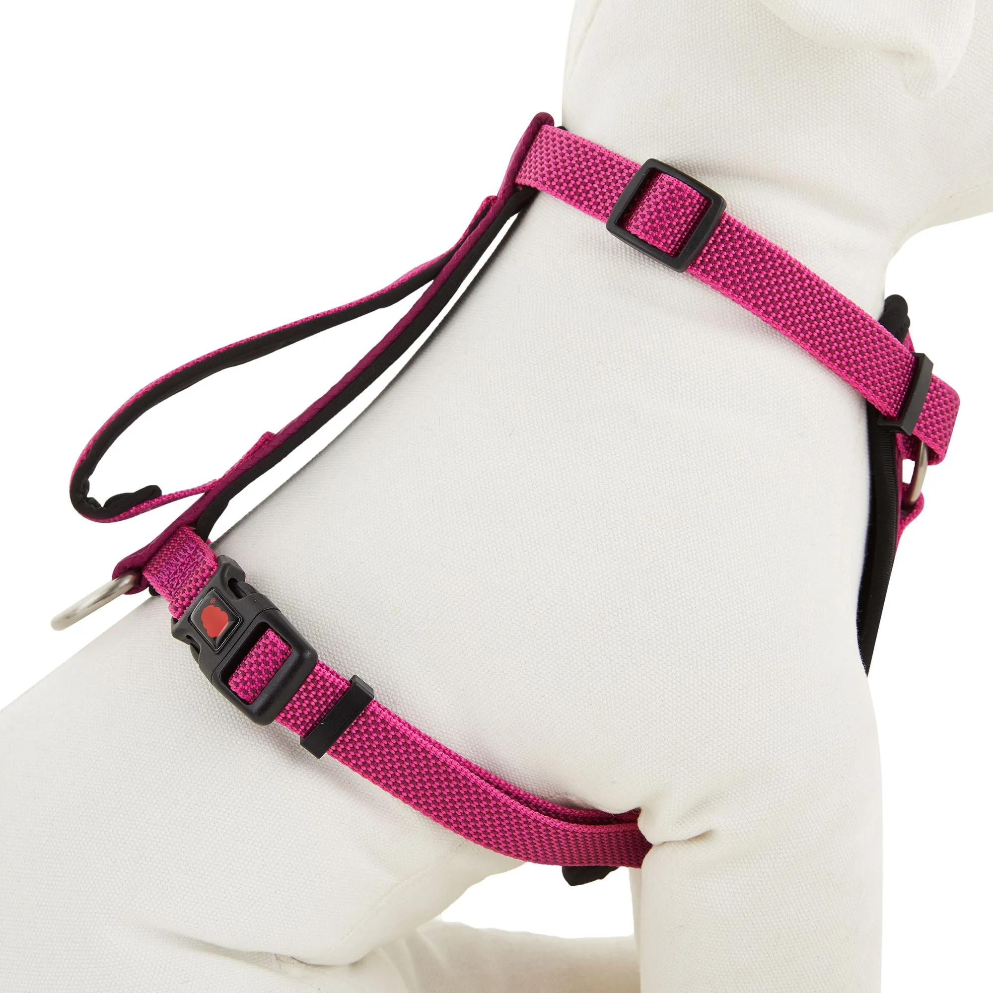KONG Comfort Control Grip Padded Chest Plate Harness DISCONTINUED Model