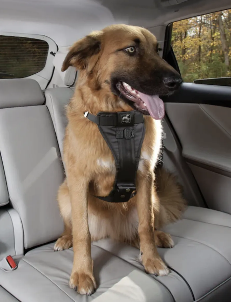 Kurgo Enhanced Strength Tru-Fit Dog Car Harness Black