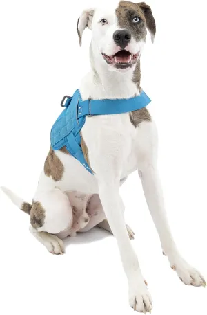 Kurgo Molle Clip Compatible Dog Harness, Molle Vest for Dogs, Service Dog Training Vest, Service Dog Molle Vest, Rsg Townie Dog Harness, for Small, Medium & Large Dogs (Medium, Coastal Blue)