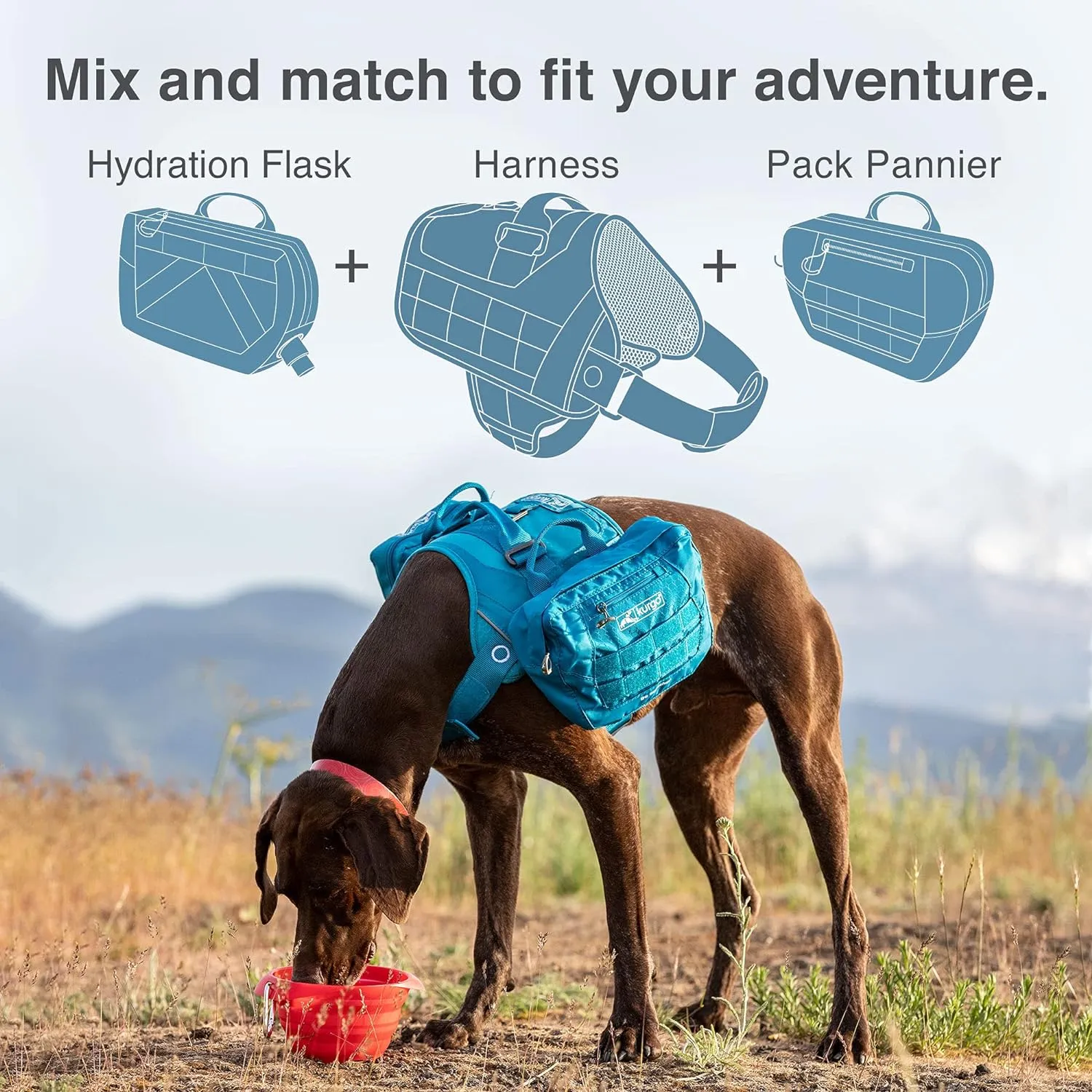 Kurgo Molle Clip Compatible Dog Harness, Molle Vest for Dogs, Service Dog Training Vest, Service Dog Molle Vest, Rsg Townie Dog Harness, for Small, Medium & Large Dogs (Medium, Coastal Blue)