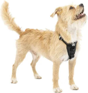Kurgo Tru-Fit Enhanced Strength Dog Harness - Certified Crash Tested Car Safety Harness for Dogs - Metal Buckles, Padded Chest - Includes Pet Seatbelt - No Pull Training - Black, Extra Small