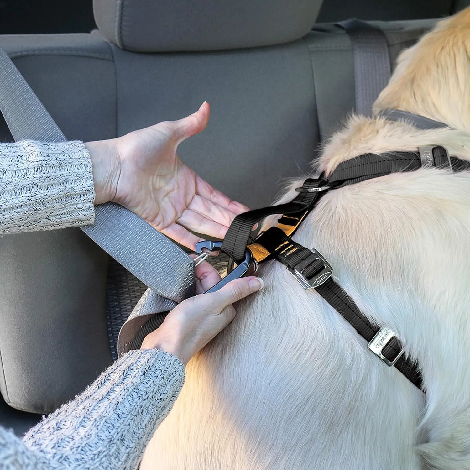 Kurgo Tru-Fit Enhanced Strength Dog Harness - Certified Crash Tested Car Safety Harness for Dogs - Metal Buckles, Padded Chest - Includes Pet Seatbelt - No Pull Training - Black, Extra Small