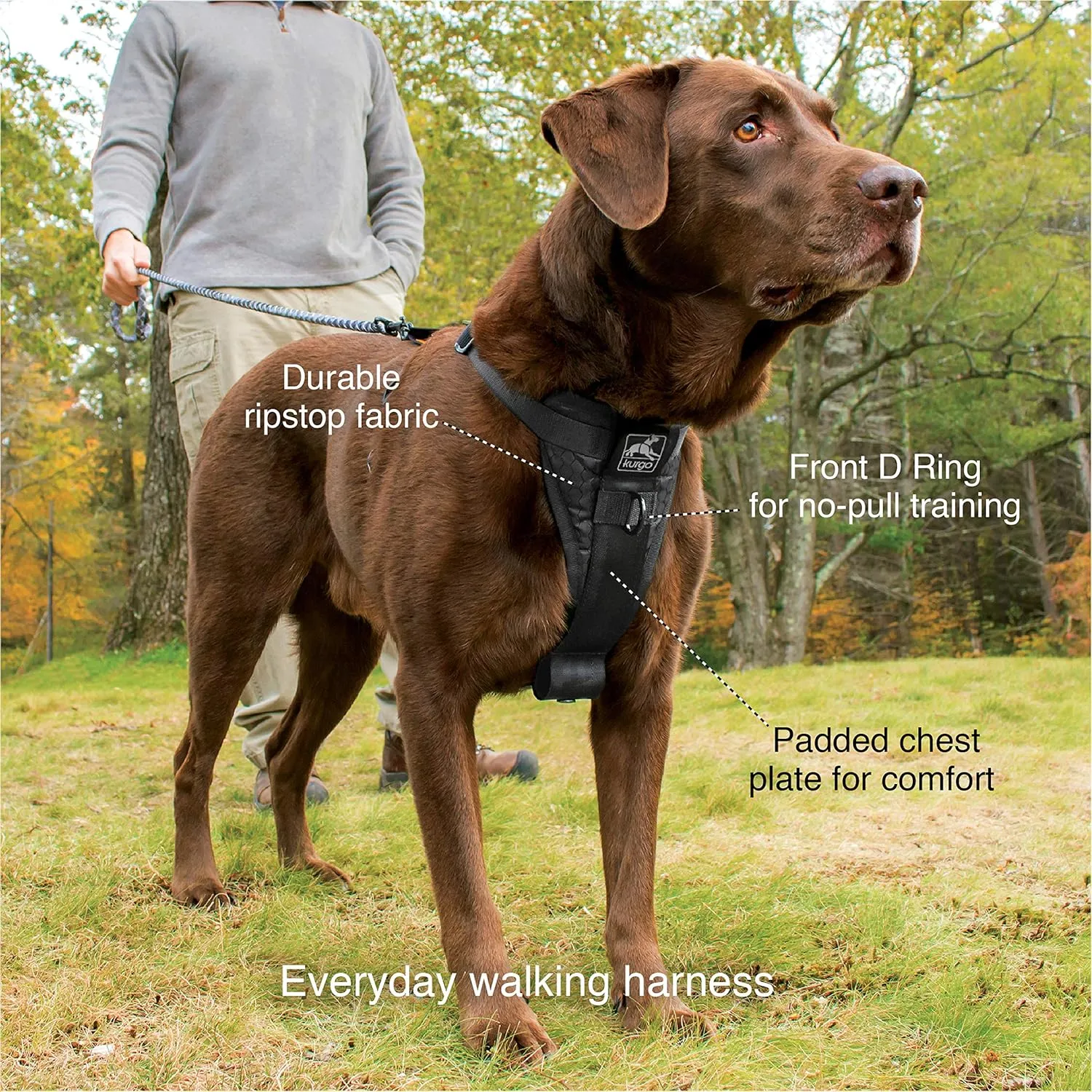 Kurgo Tru-Fit Smart Harness, Dog Harness, Pet Walking Harness, Quick Release Buckles, Front D-Ring for No Pull Training, Includes Dog Seat Belt Tether (Black, Large)