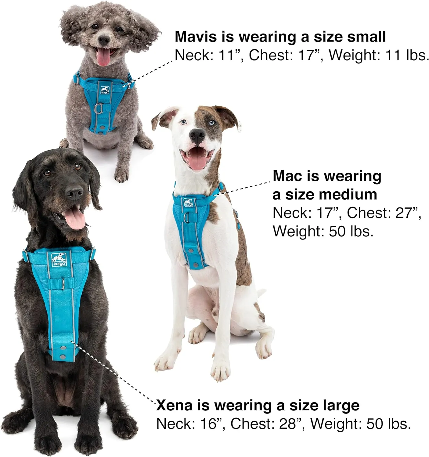 Kurgo Tru-Fit Smart Harness, Dog Harness, Pet Walking Harness, Quick Release Buckles, Front D-Ring for No Pull Training, Includes Dog Seat Belt Tether (Black, Large)
