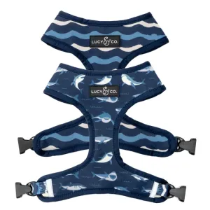 Lucy&Co Reversible Dog Harness: Shark Attack
