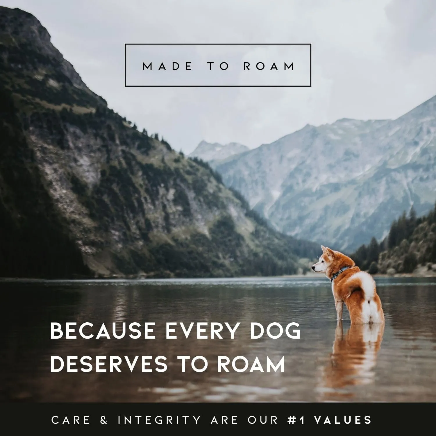 MADE TO ROAM Premium Explorer Harness - Y-Shaped Dog Harness with Adjustable Durable Nylon, Soft Padding, Metal Buckles and Leather Handle for Small, Medium, Large Dogs (Arizona Heartbeat, Size 6)