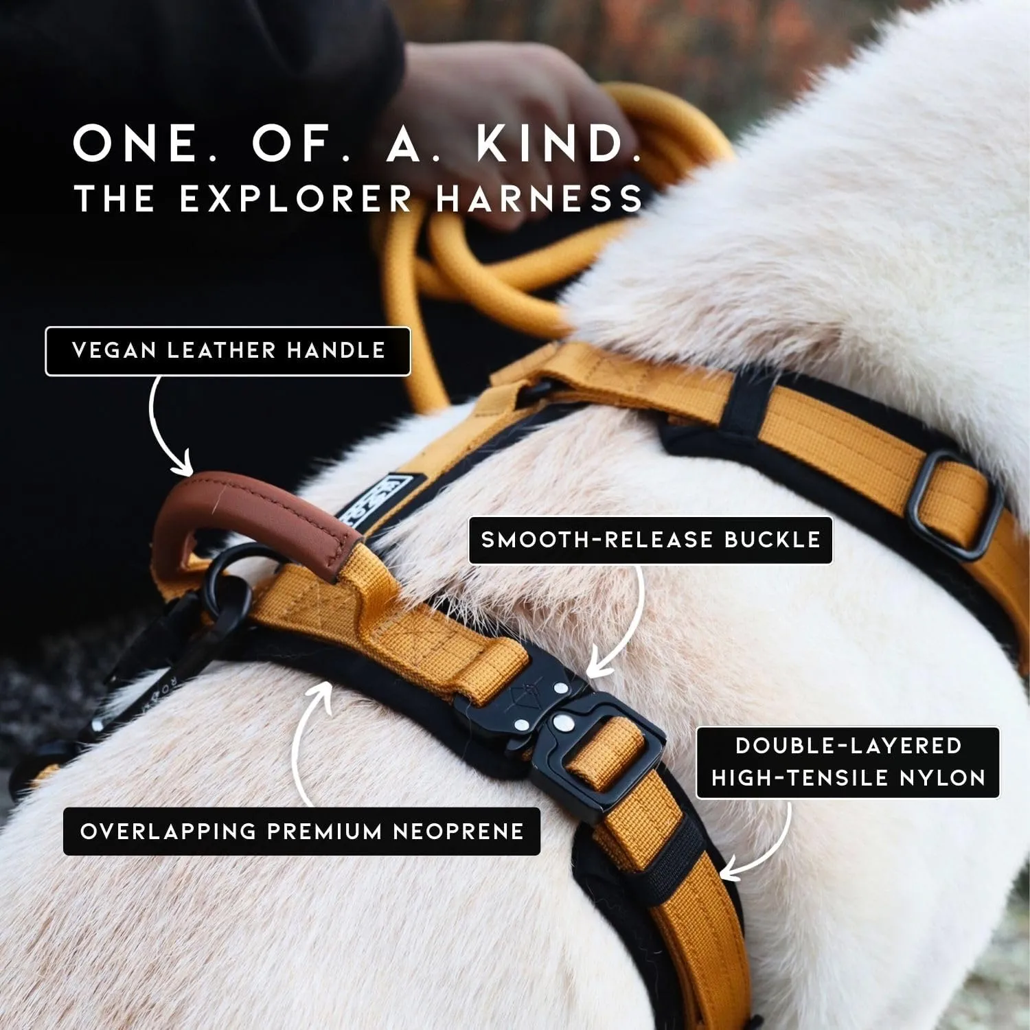 MADE TO ROAM Premium Explorer Harness - Y-Shaped Dog Harness with Adjustable Durable Nylon, Soft Padding, Metal Buckles and Leather Handle for Small, Medium, Large Dogs (Arizona Heartbeat, Size 6)