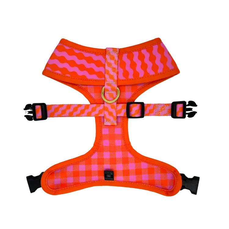 Mango - Reversible Dog Harness