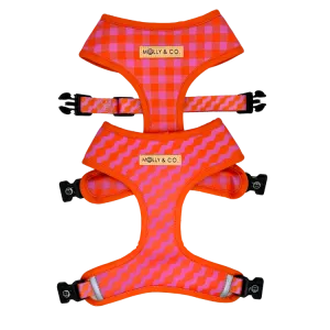 Mango - Reversible Dog Harness