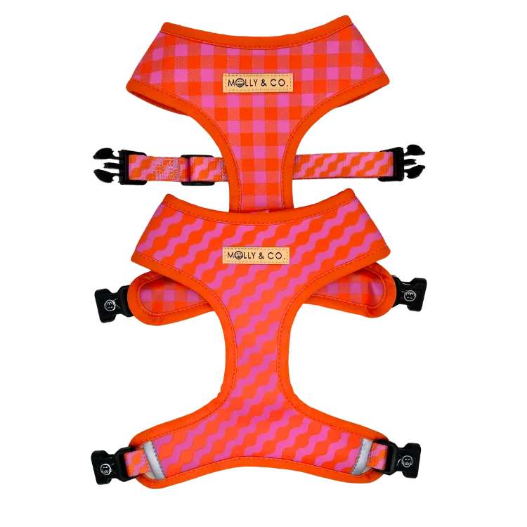 Mango - Reversible Dog Harness