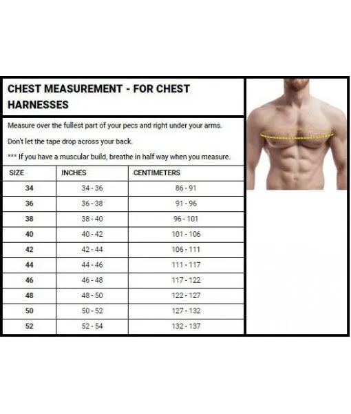Men’s Leather Chest Harness – Adjustable Straps & Stainless Hardware
