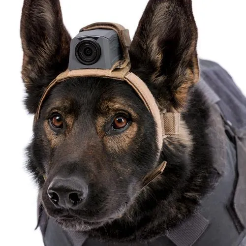 MOHOC K9 Mount