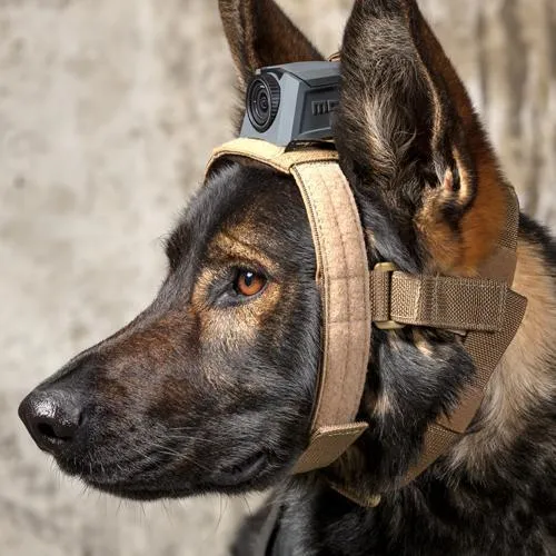 MOHOC K9 Mount