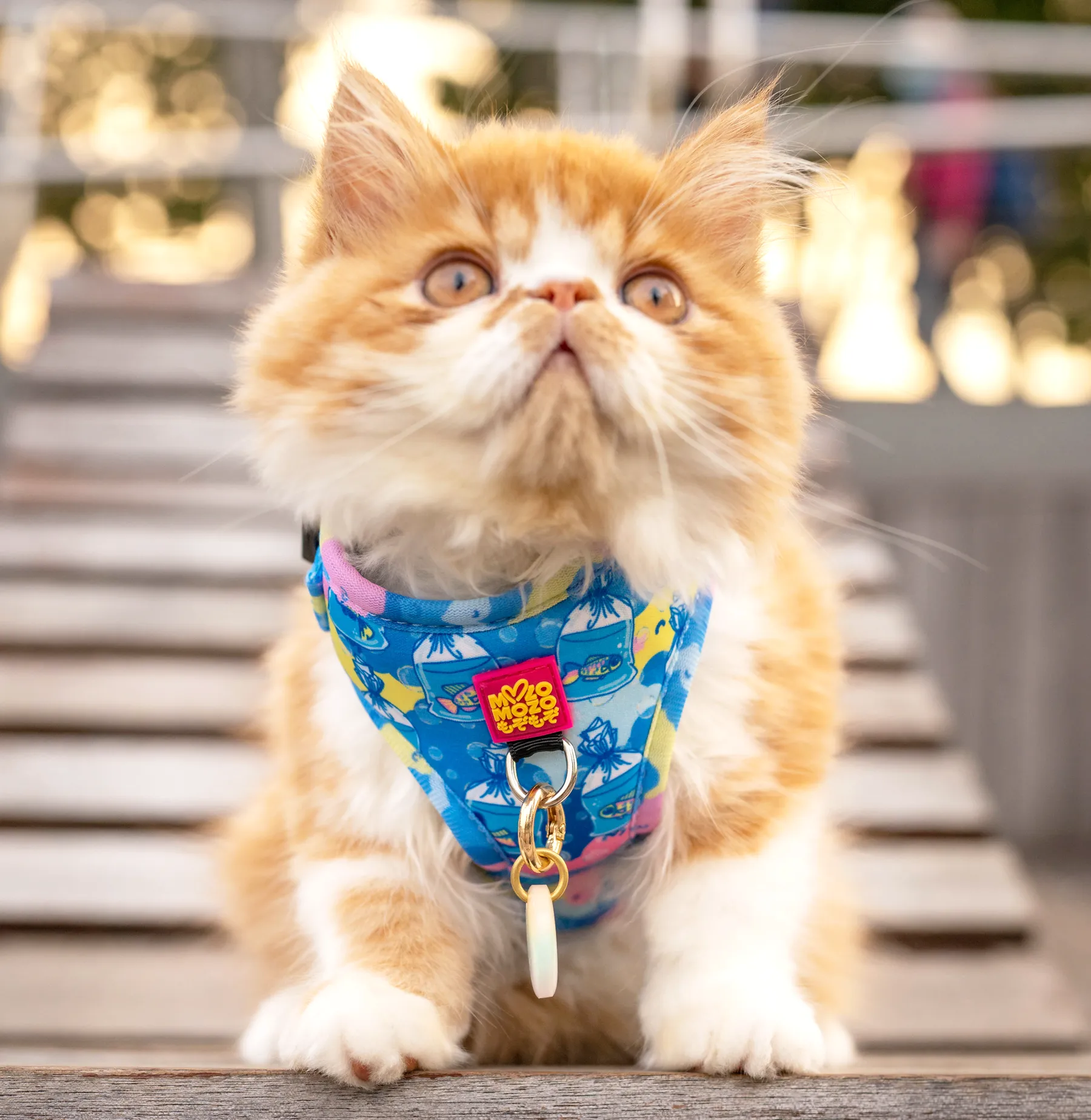 MYPETFISHIE adjustable harness