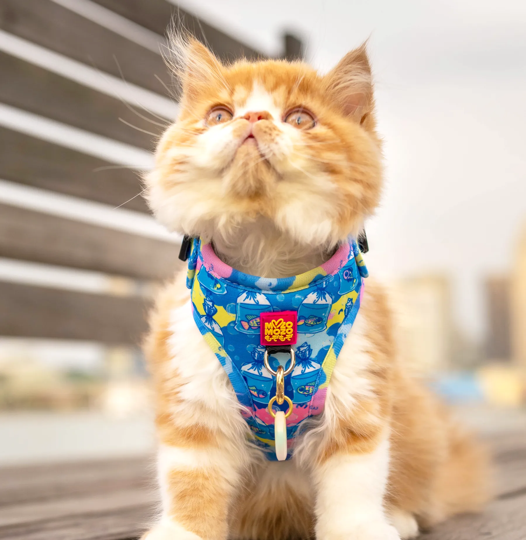 MYPETFISHIE adjustable harness