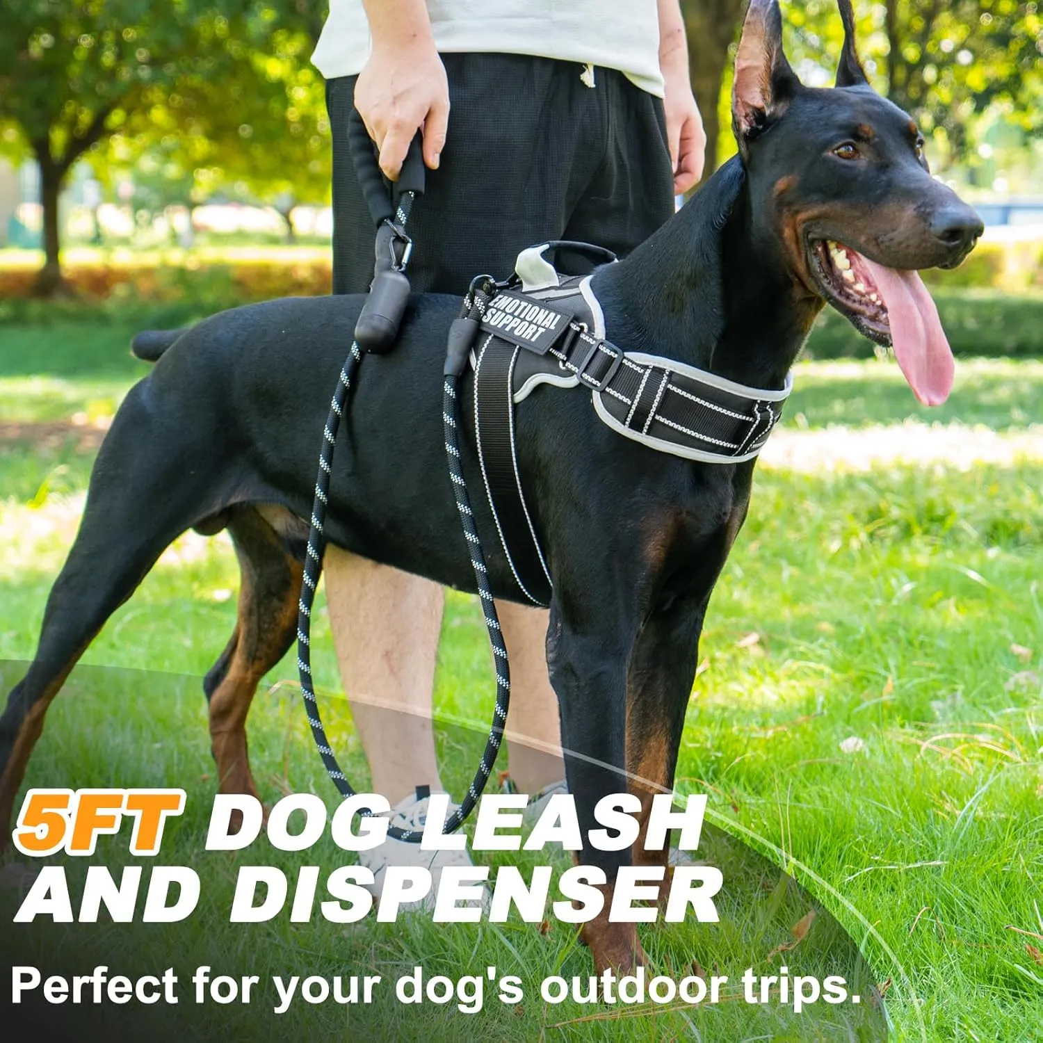 Neck Padded Dog Vest Harness and Leash Set, No Pull Adjustable Service Pet Harness with 8 Dog Patches, Reflective in Training Easy Control Pet Vest with 5ft Dog Leash for Medium & Large Dogs