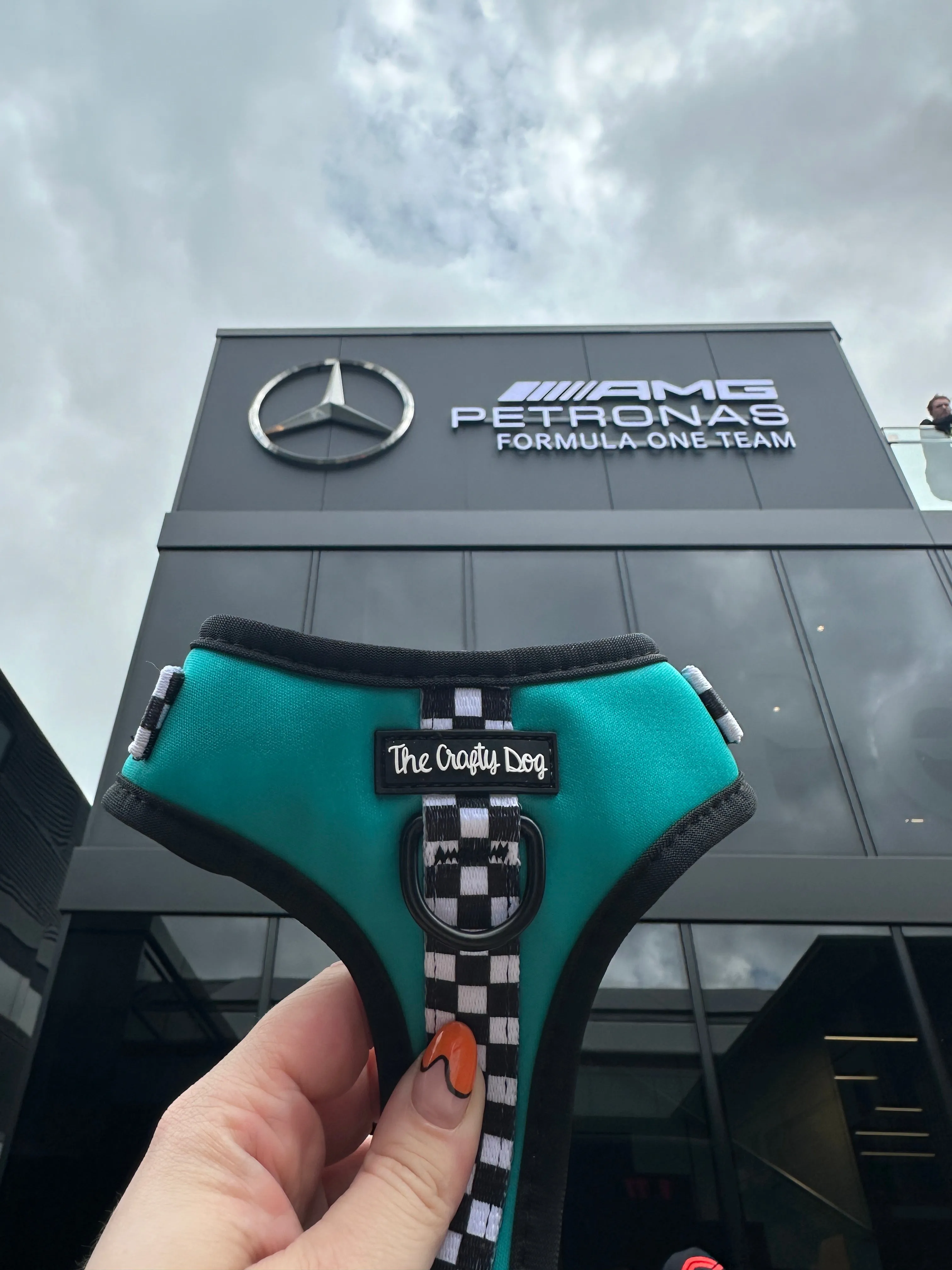 PAWcedes Harness