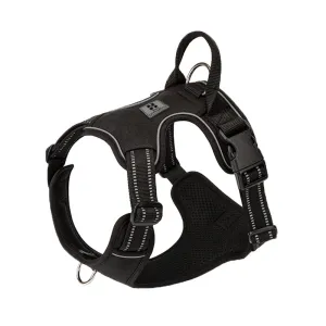 Personalized Dog Harness Padded
