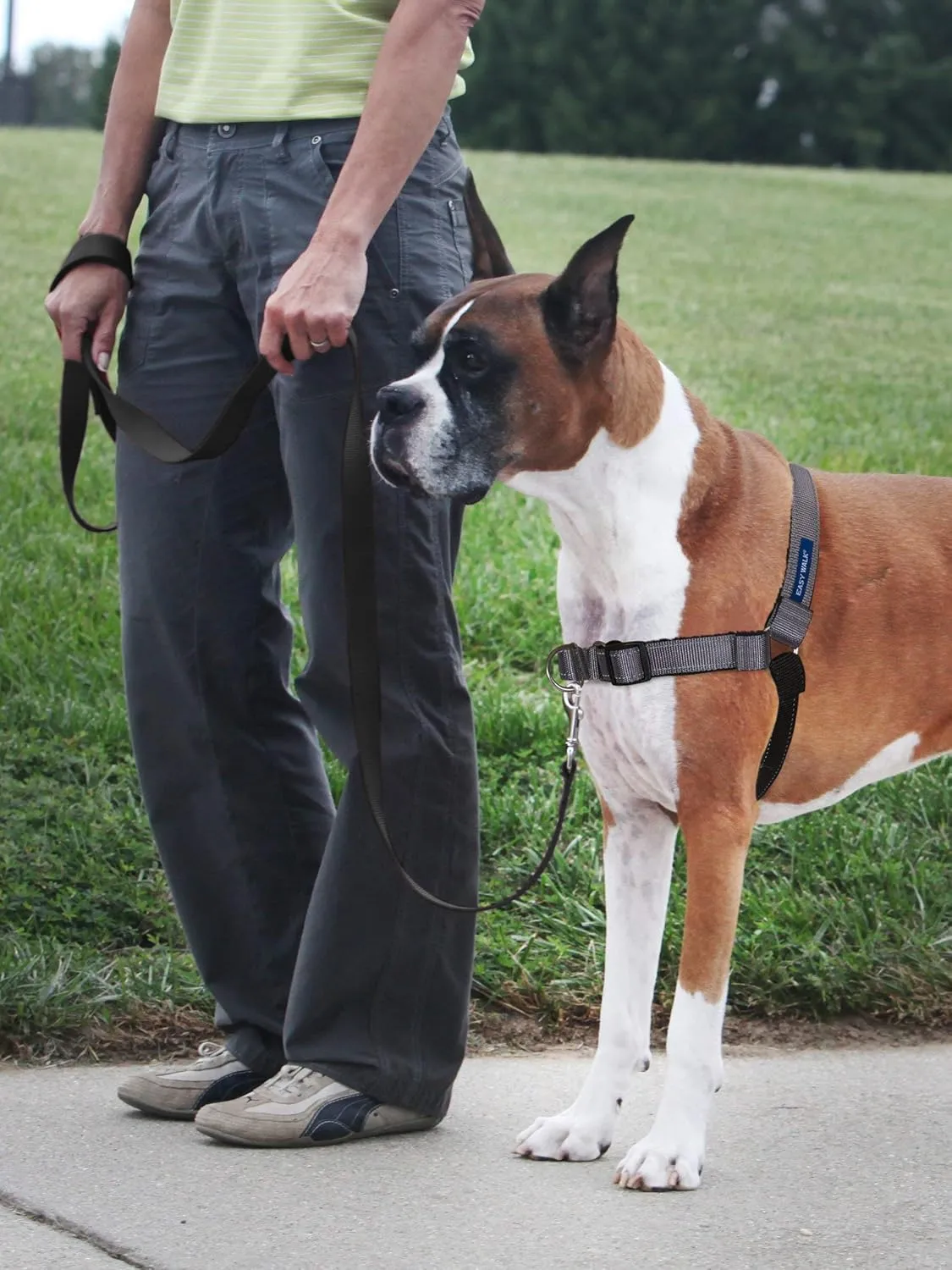 PetSafe Easy Walk Deluxe Dog Harness, No Pull Dog Harness – Perfect for Leash & Harness Training – Stops Pets from Pulling and Choking on Walks – Medium/Large, Steel