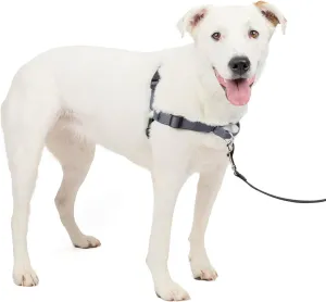 PetSafe Easy Walk Deluxe Dog Harness, No Pull Dog Harness – Perfect for Leash & Harness Training – Stops Pets from Pulling and Choking on Walks – Medium/Large, Steel