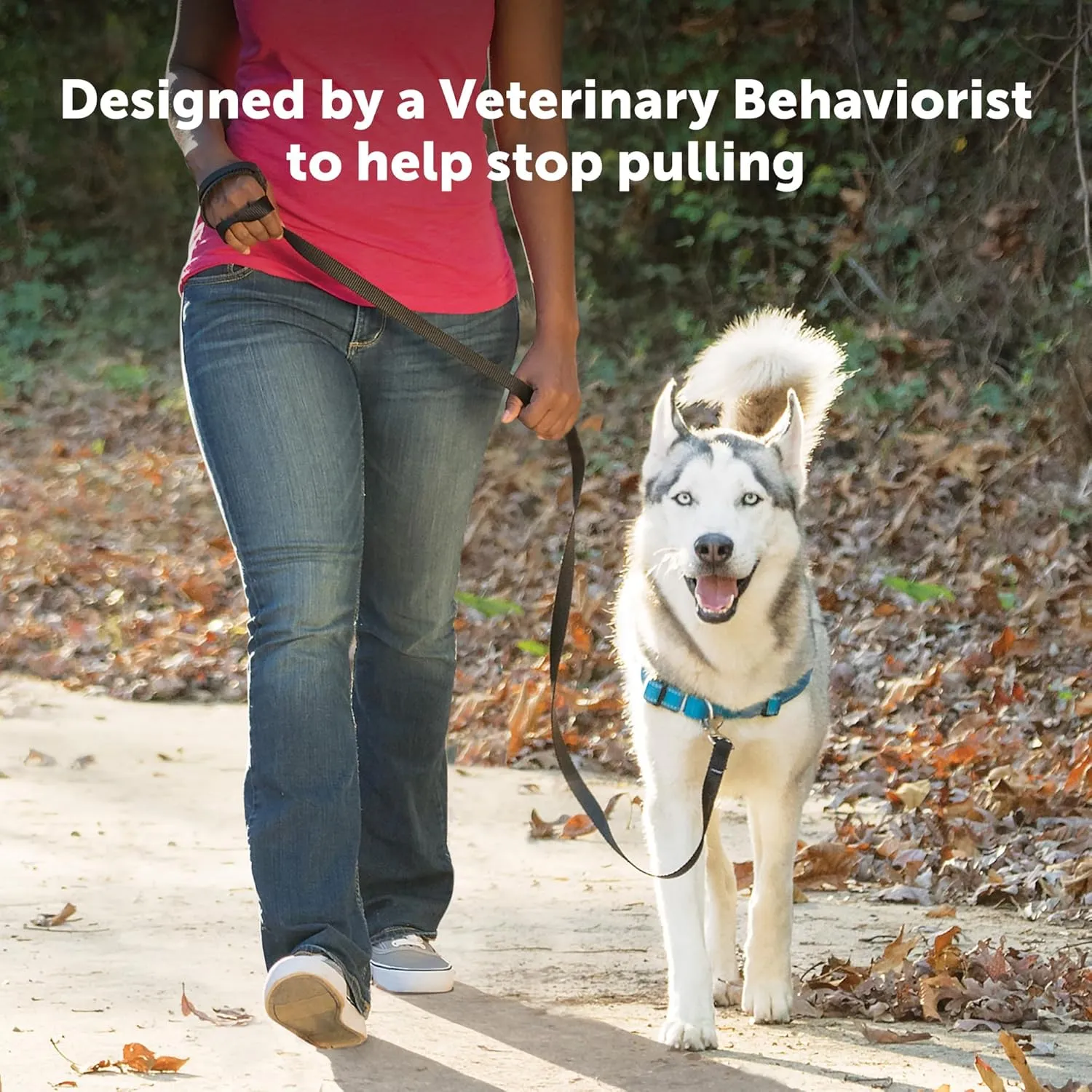 PetSafe Easy Walk Deluxe Dog Harness, No Pull Dog Harness – Perfect for Leash & Harness Training – Stops Pets from Pulling and Choking on Walks – Medium/Large, Steel