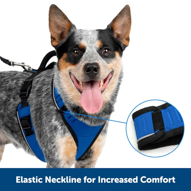 Petsafe Easysport Harness Black Md