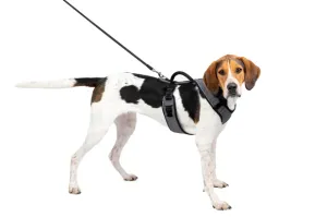 Petsafe Easysport Harness Charcoal Lg