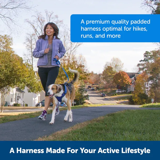 Petsafe Easysport Harness Charcoal Md